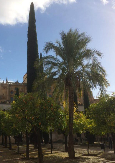 Espagne